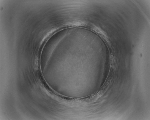 X0000065980012200603061226