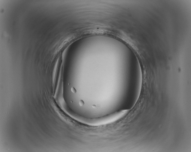 X0000065980013200603061226