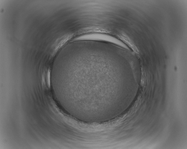 X0000065980014200603061226