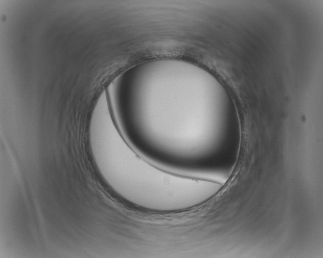 X0000065980017200603061226