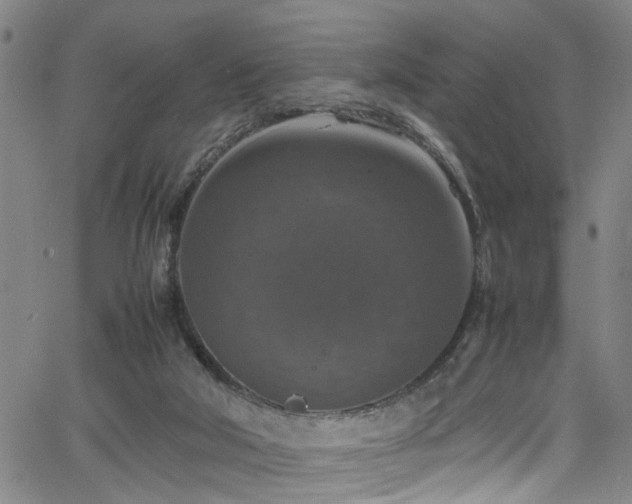 X0000065980018200603061226