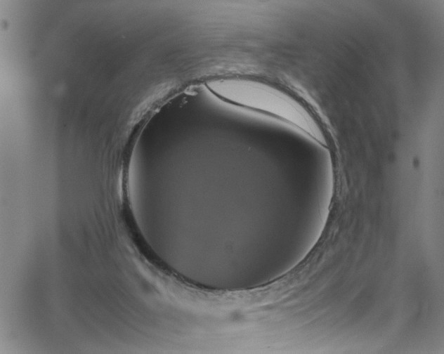 X0000065980019200603061226