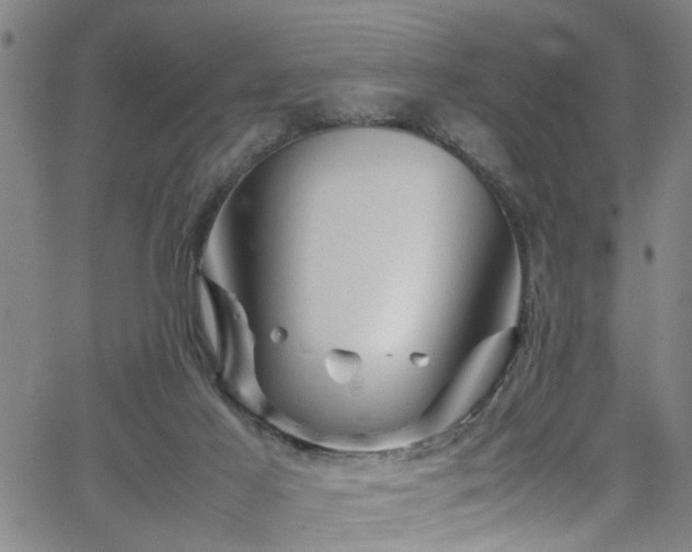 X0000065980021200603061226