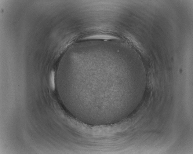 X0000065980022200603061226