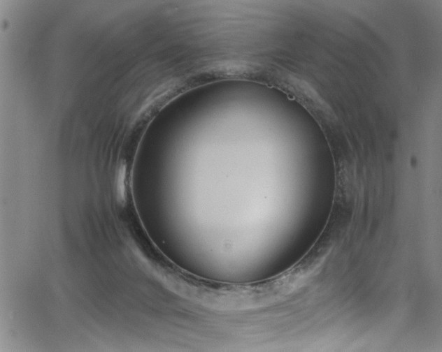 X0000065980024200603061226