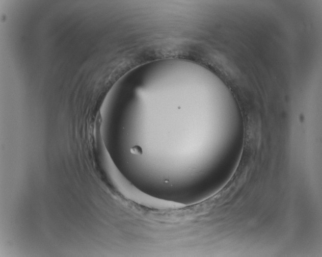 X0000065980025200603061226