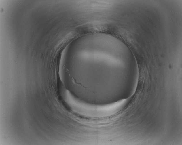 X0000065980027200603061226