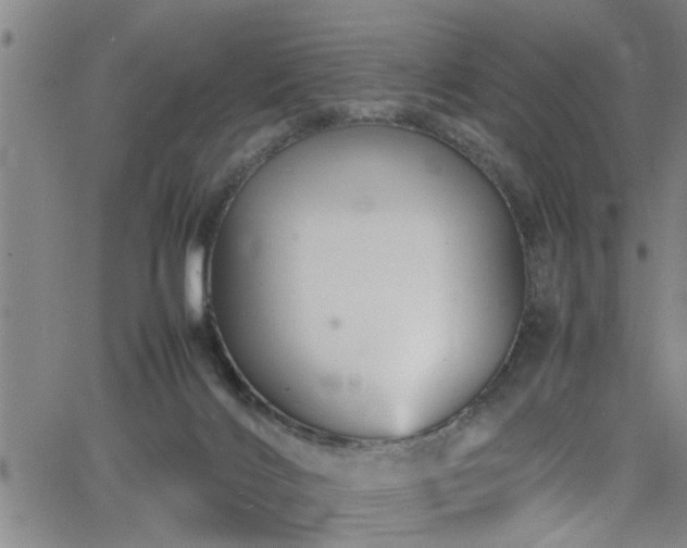 X0000065980028200603061226