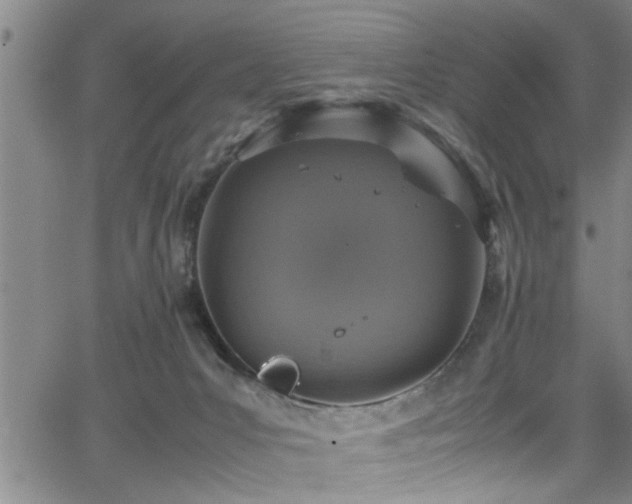 X0000065980031200603061225