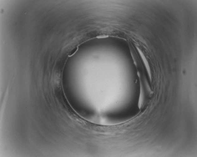 X0000065980033200603061225