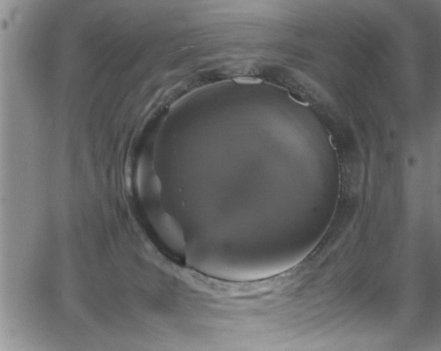 X0000065980035200603061225