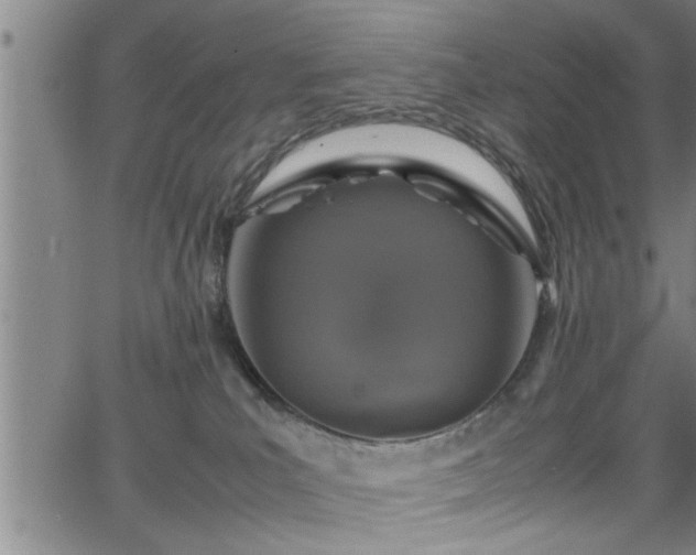 X0000065980039200603061225