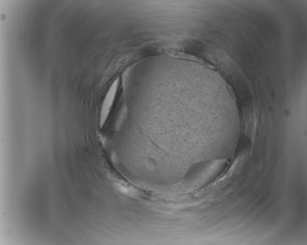 X0000065980041200603061225