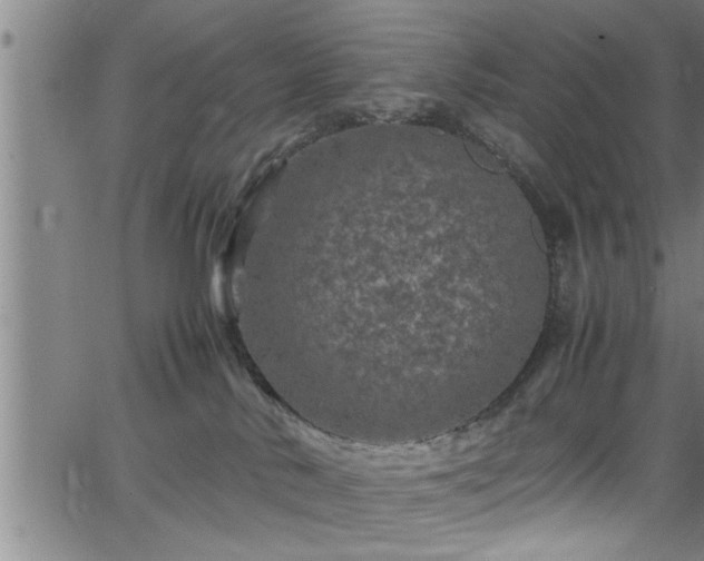 X0000065980042200603061225