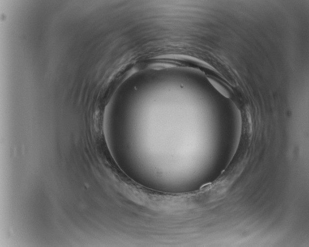 X0000065980044200603061225