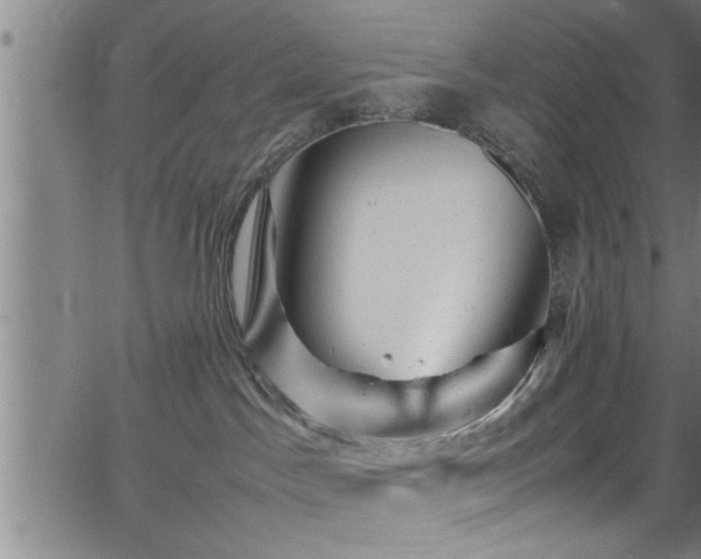 X0000065980045200603061225