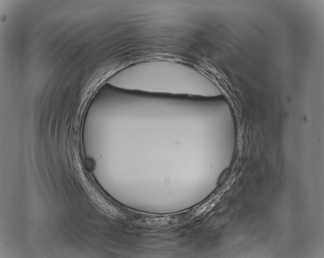 X0000065980049200603061224