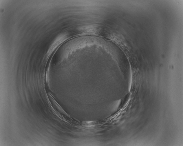 X0000065980051200603061224