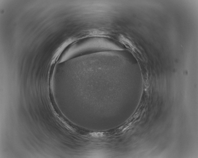 X0000065980052200603061224