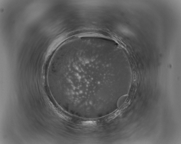 X0000065980053200603061224