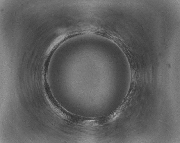 X0000065980054200603061224