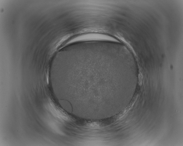 X0000065980062200603061225