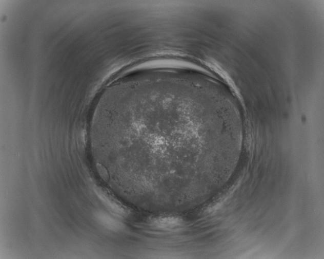 X0000065980063200603061225