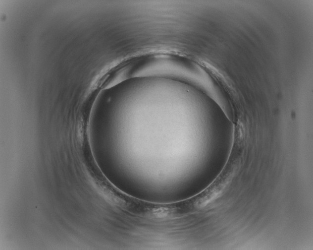 X0000065980064200603061225