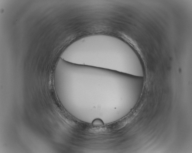 X0000065980065200603061225