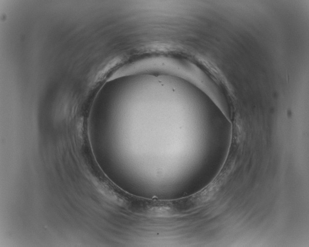 X0000065980066200603061225