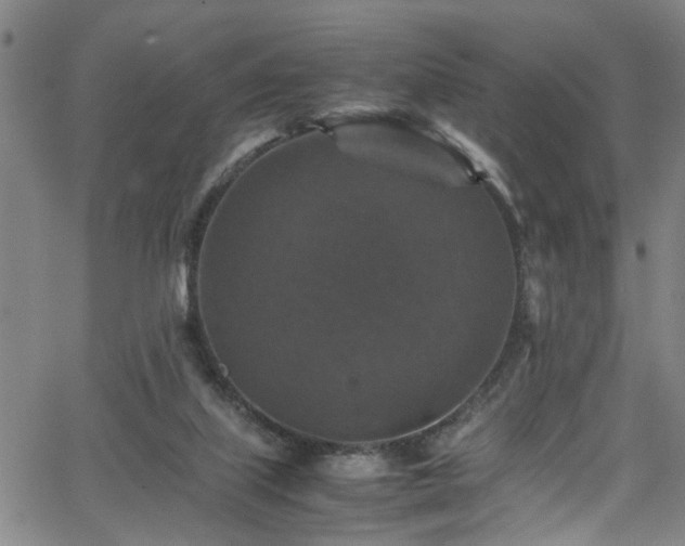 X0000065980067200603061225