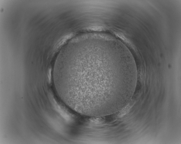 X0000065980070200603061225