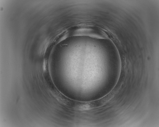 X0000065980075200603061225