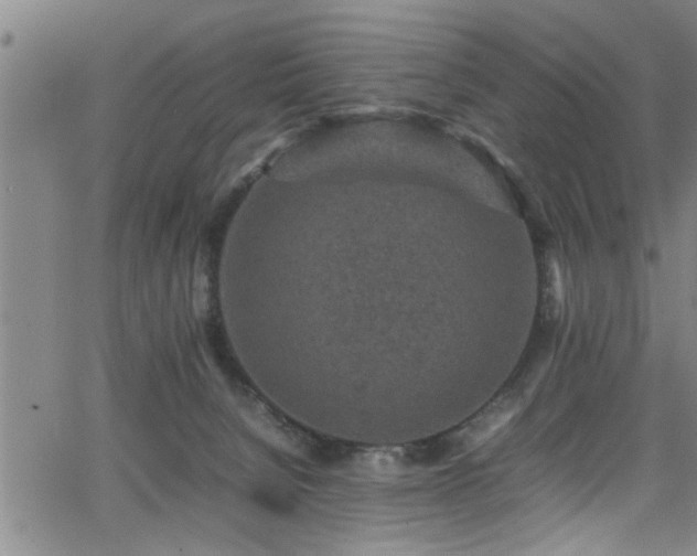 X0000065980080200603061225