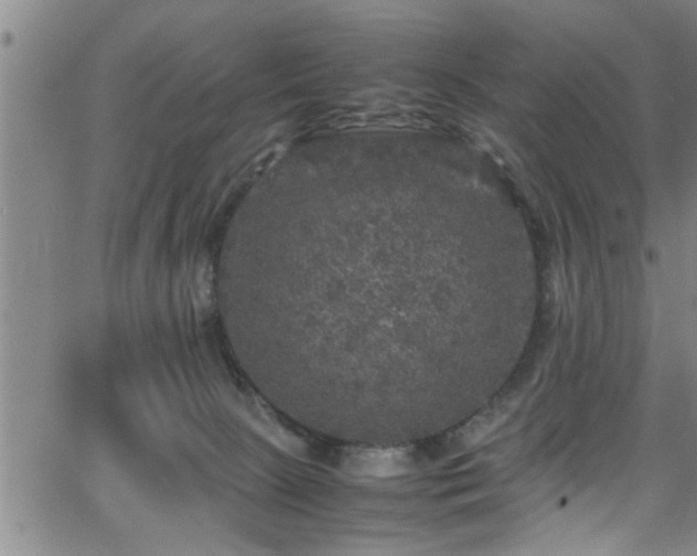 X0000065980081200603061225