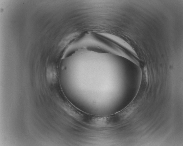 X0000065980084200603061225