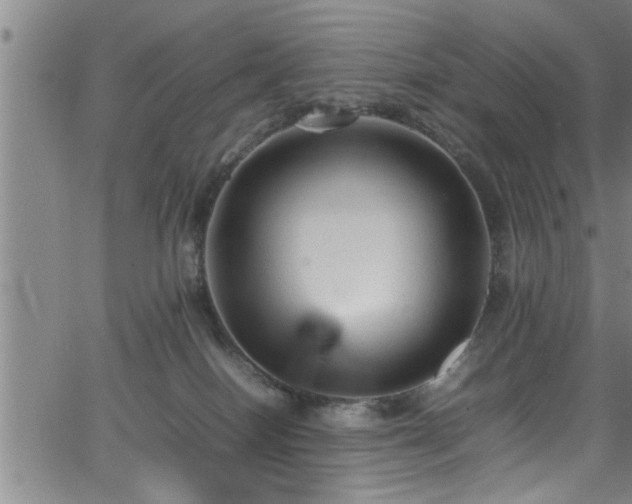 X0000065980086200603061225