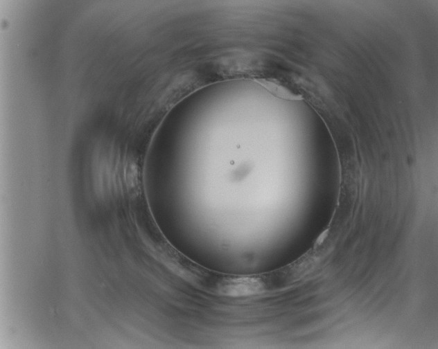 X0000065980087200603061225