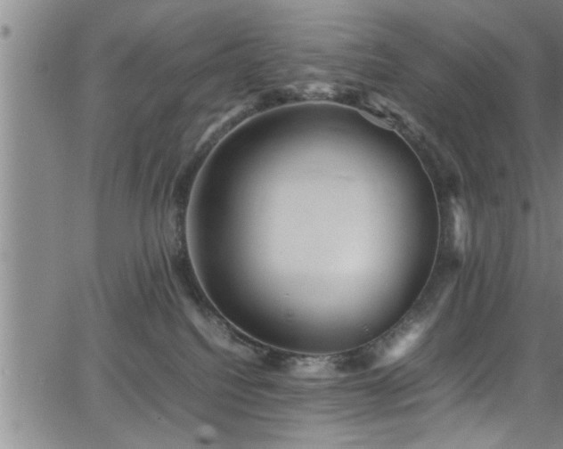 X0000065980088200603061225