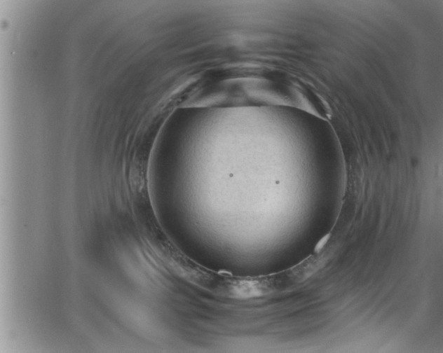 X0000065980091200603061225