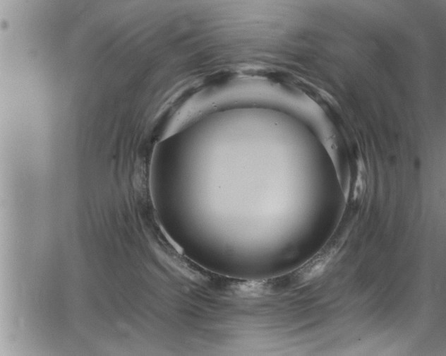 X0000065980092200603061225