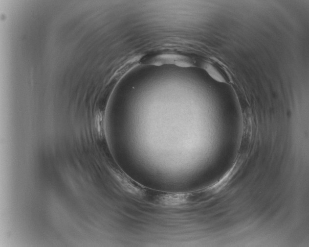 X0000065980094200603061225