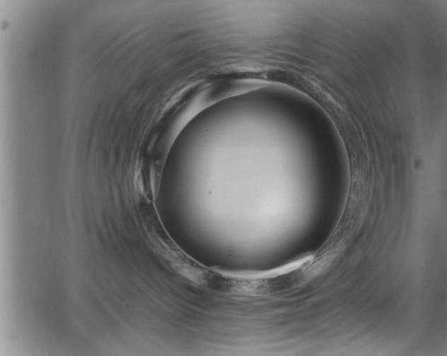 X0000065980096200603061225