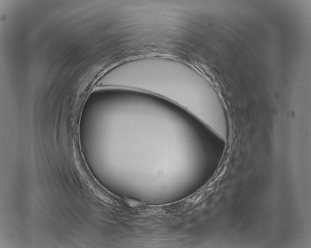 X0000065980097200603061224