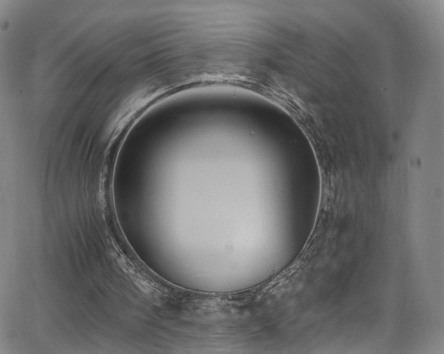 X0000065980098200603061224