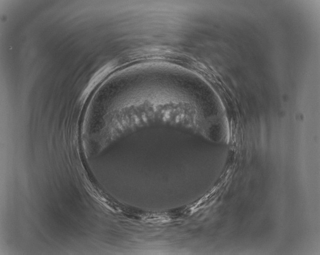 X0000065980099200603061224