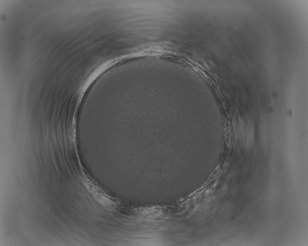 X0000065980100200603061224