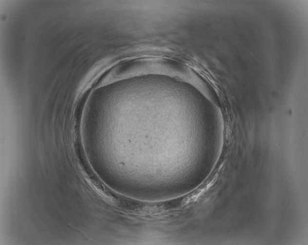 X0000065980101200603061224