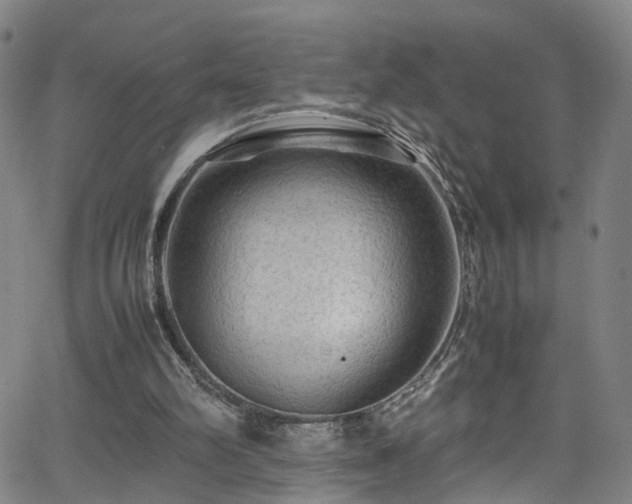 X0000065980102200603061224