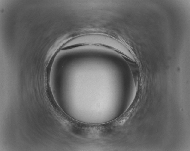 X0000065980103200603061224